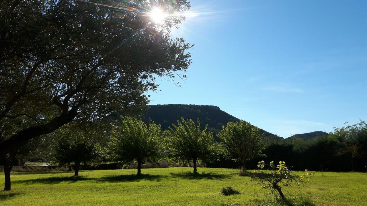 Chambres D'Hotes Des Gens Heureux Saint-Hippolyte-du-Fort Exteriör bild